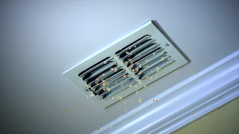 Home Air Vent Cleaning in Fountain Hill, PA