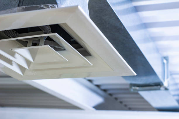 Best Air Duct Mold Removal  in Fountain Hill, PA