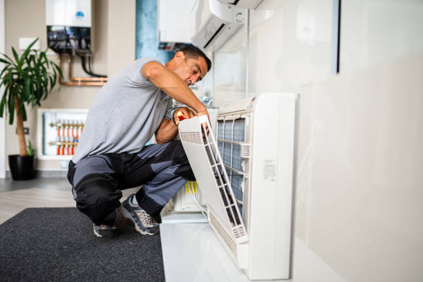 Air Duct Mold Removal in Fountain Hill, PA
